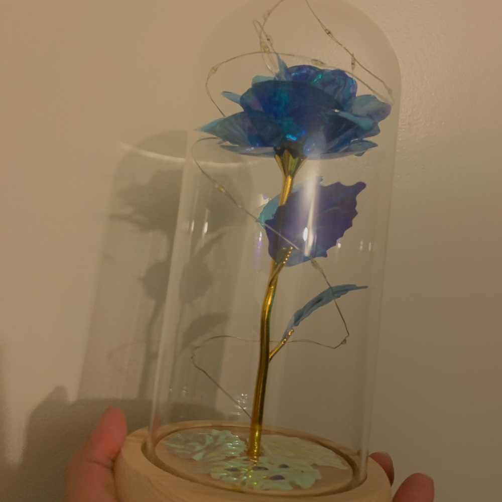 Rose - Picture 2 of 10